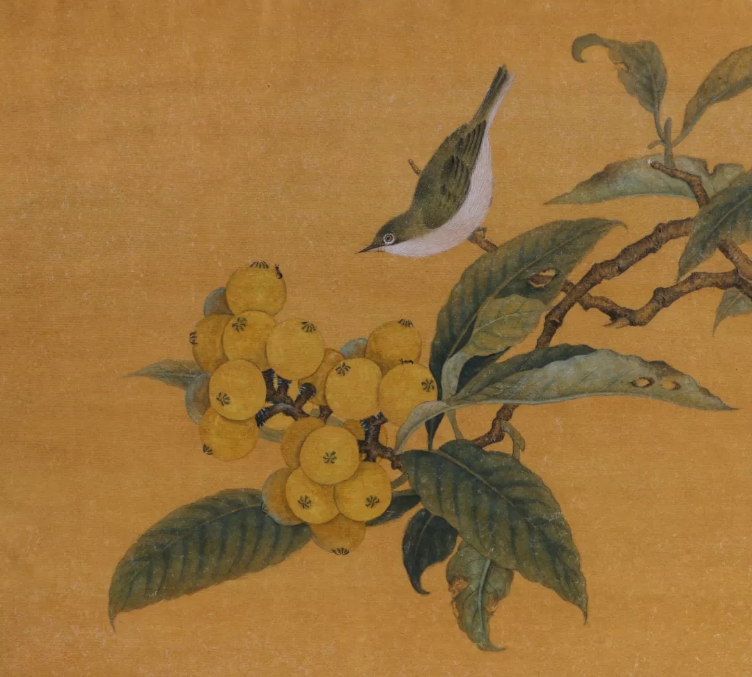 华润阳作品