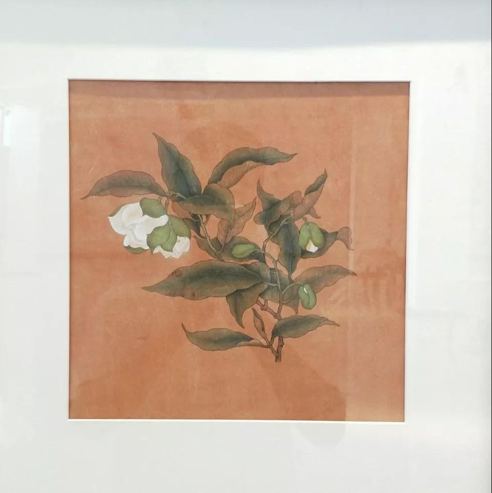 徐艳萍《宋.夜合花图》 指导老师:田爱华研究方向:美术学(国画)
